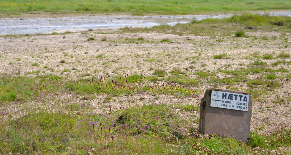 Schilder, die vor den heißen Quellen rund um den Großen Geysir und Strokkur warnen.