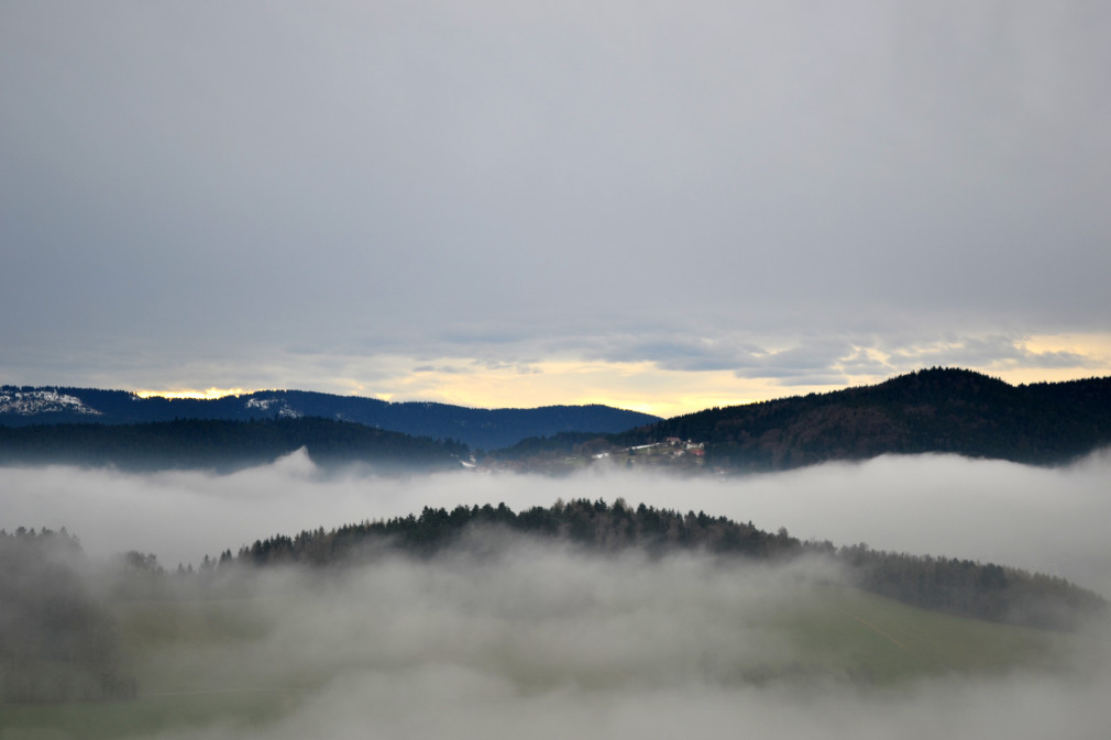 Nebelschwaden im Bayerischen Wald bei Neukirchen beim Heiligen Blut