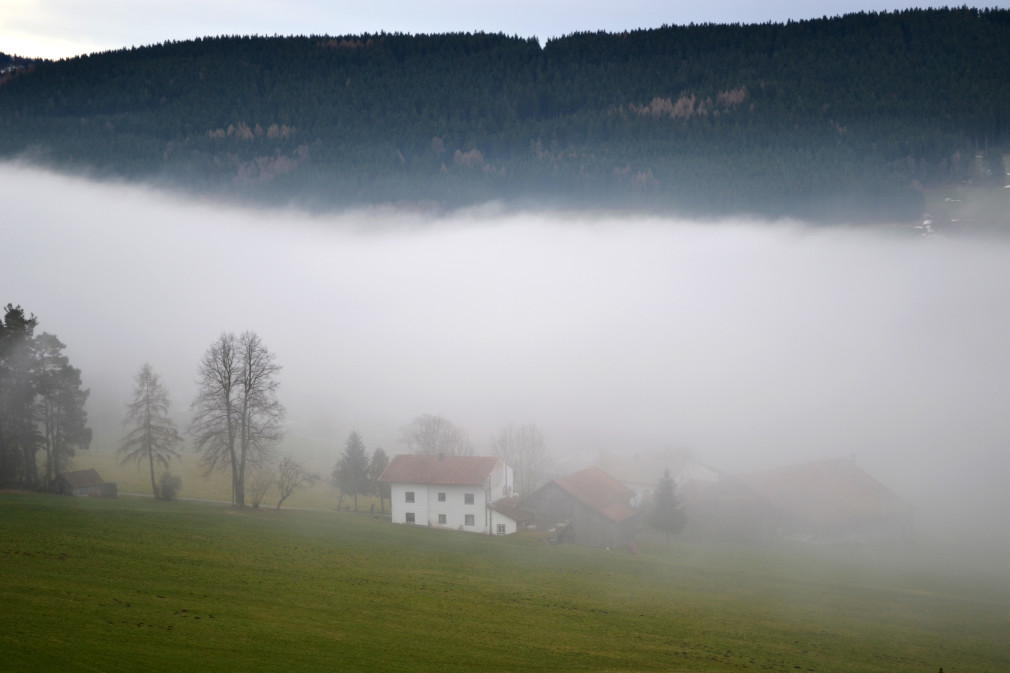 Nebelschwaden im Bayerischen Wald bei Neukirchen beim Heiligen Blut