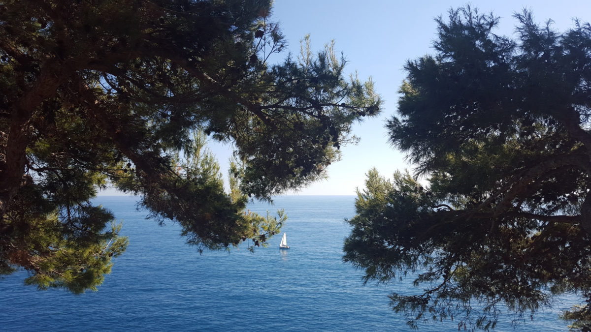 Monaco - Mittelmeer und Segelschiff