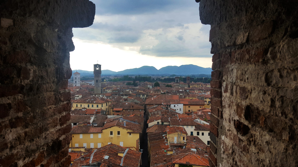 Blick auf Lucca vom Torre Guinigi