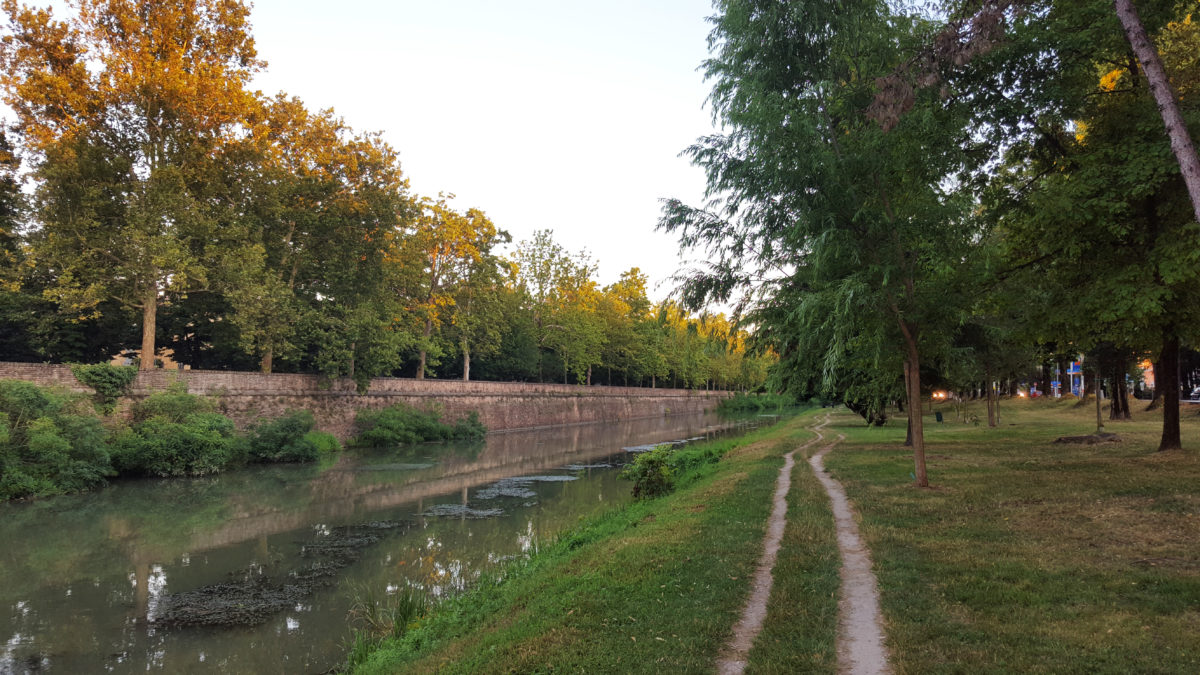 Am Fluss-/Kanalufer im Parco dei Cigni, Padua