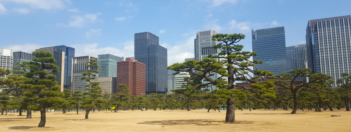 Bäume im Außengelände des Kaiserparks in Tokyo