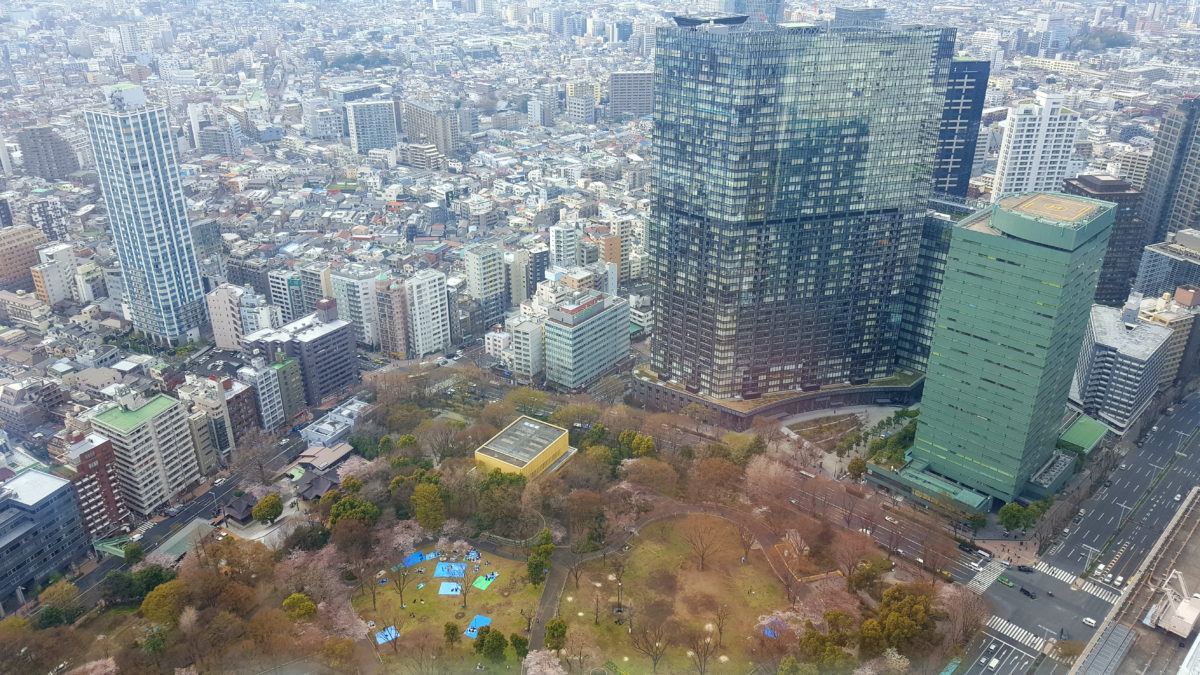 Blick auf den Shinjuku Chuo Park vom Tokyo Metropolitan Government Building