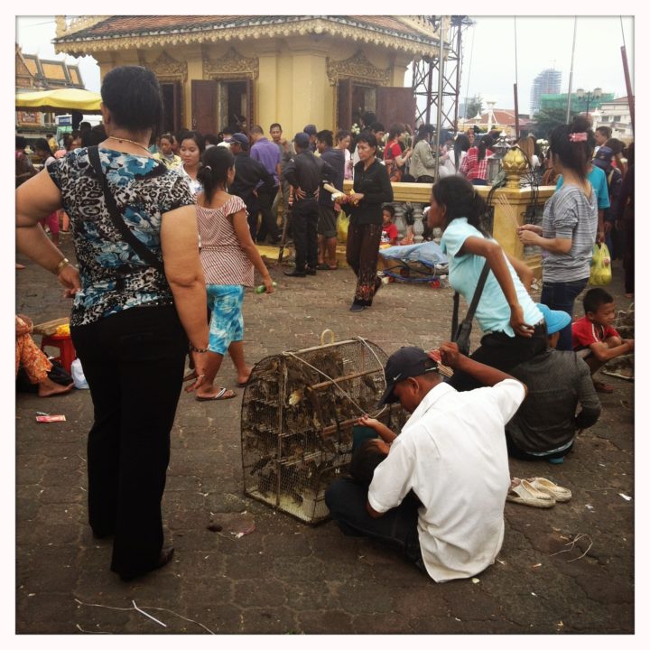Phnom Penh – Gutes Karma